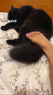Ana Moura feet photo 1