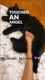 Ana Moura feet photo 20
