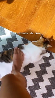 Ana Moura feet photo 4