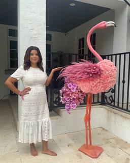 Ana Navarro feet photo 13