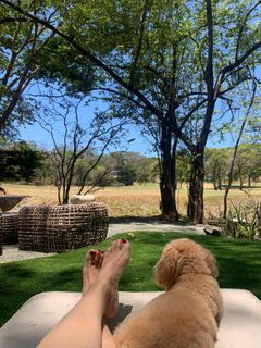 Ana Navarro feet photo 4