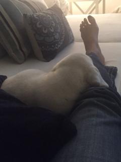 Ana Paula Henkel feet photo 10