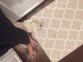 Ana Paula Henkel feet photo 9