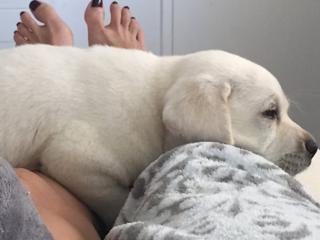 Ana Paula Henkel feet photo 8