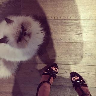 Ana Serradilla feet photo 7