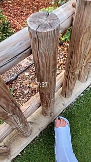 Anabel Pantoja feet photo 13