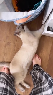 Ananda Morais feet photo thumbnail