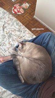 Ananda Morais feet photo 5