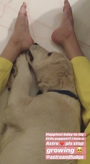 Ananya Panday feet photo thumbnail