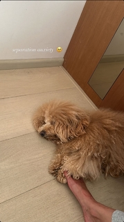 Ananya Panday feet photo thumbnail