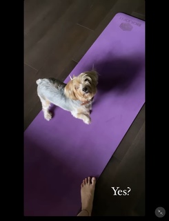 Ananya Pandey feet photo thumbnail