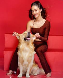 Ananya Pandey feet photo thumbnail