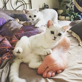 Anastasiya Makeyeva feet photo 13