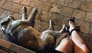 Anastasiya Zadorozhnaya feet photo 2