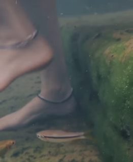 Anaswara Rajan feet photo thumbnail