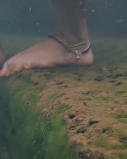 Anaswara Rajan feet photo thumbnail