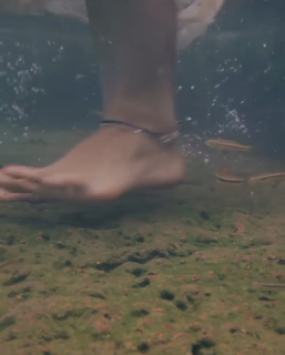 Anaswara Rajan feet photo thumbnail