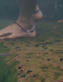 Anaswara Rajan feet photo thumbnail