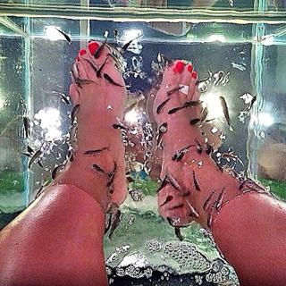 Andrea De Andrade feet photo 16
