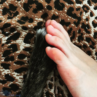 Andrea Delogu feet photo thumbnail