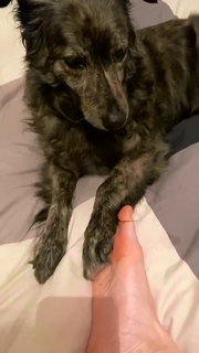 Andrea Delogu feet photo thumbnail