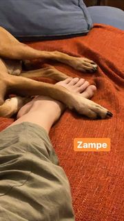 Andrea Delogu feet photo thumbnail