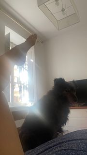 Andrea Delogu feet photo thumbnail