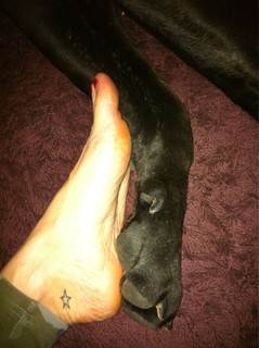 Andrea Delogu feet photo thumbnail