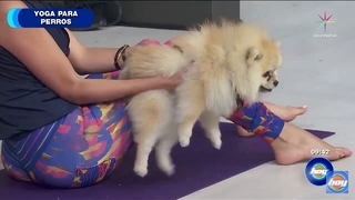 Andrea Escalona feet photo thumbnail