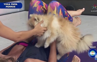 Andrea Escalona feet photo thumbnail