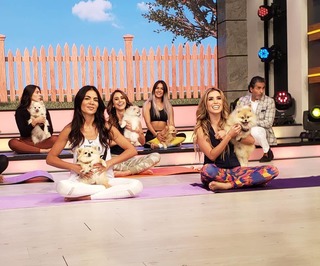 Andrea Escalona feet photo thumbnail