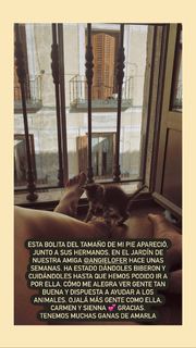 Andrea Guasch feet photo 19