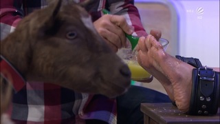 Andrea Kaiser feet photo thumbnail