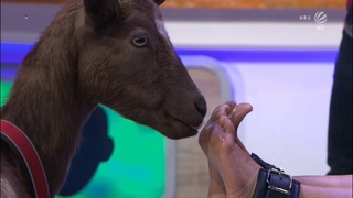 Andrea Kaiser feet photo thumbnail