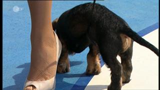 Andrea Kiewel feet photo thumbnail