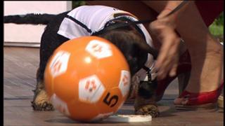 Andrea Kiewel feet photo thumbnail