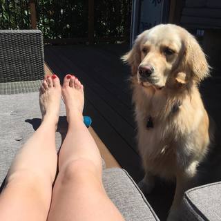 Andrea Libman feet photo 18