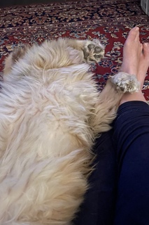 Andrea Libman feet photo 17