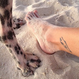 Andrea López feet photo 5