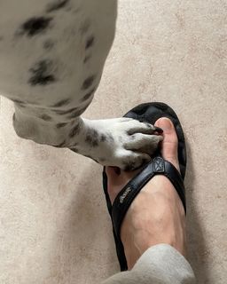 Andrea López feet photo 3