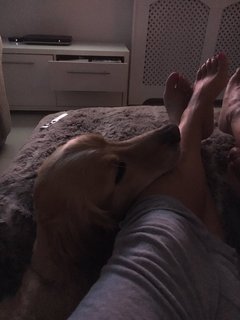 Andrea McLean feet photo thumbnail