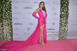 Andrea Meza feet photo 2