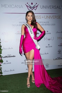 Andrea Meza feet photo 20