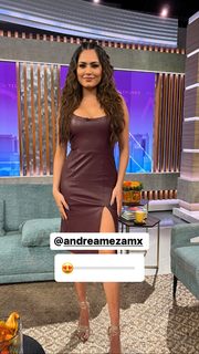 Andrea Meza feet photo 16