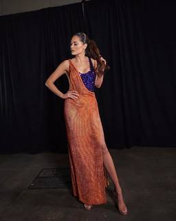 Andrea Meza feet photo 16
