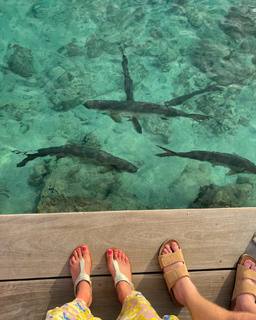Andrea Meza feet photo 16