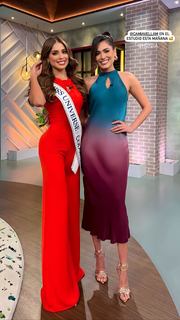 Andrea Meza feet photo 8