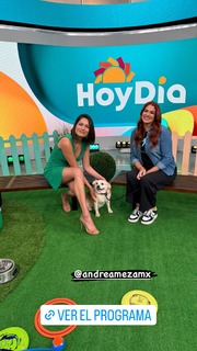 Andrea Meza feet photo 19