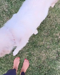 Andreea Raicu feet photo 11