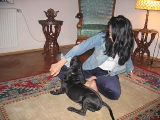 Andreea Raicu feet photo 2